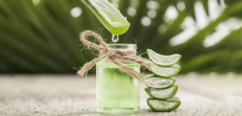 
			
		چگونگی استفاده از آلوئه ورا برای پوست
		