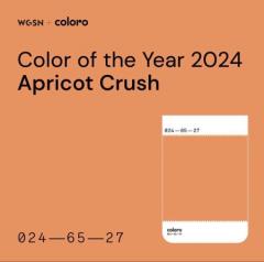 رنگ سال 2024 پنتون چیست ؟معرفی رنگ مد سال 2024 توسط شرکت پنتون :رنگ سال 2024 پنتون :معنی رنگ Apricot Crushکاربرد رنگ Apricot Crushترکیبات رنگی Apricot Crush