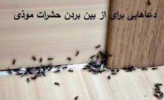 
			
		چند دعا برای دفع حشرات و خزندگان
		دعاهایی برای دفع خزندگان و حشرات موذی