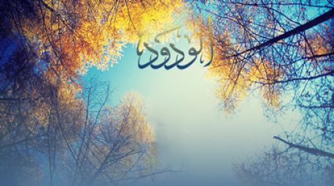 
			
		همه چیز درباره ذکر یا ودود 
		