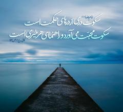 حدیث هایی از ائمه درباره سکوت:احادیث درباره سکوت از ائمه :
