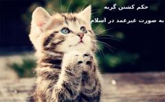 احکام کشتن گربه به صورت غیرعمد از نظر اسلام چیست ؟دیدگاه اسلام درباره حیواناتتعریف قتل غیرعمدحکم شرعی کشتن گربه به صورت غیرعمدکفاره و جبران قتل غیرعمد گربهتوصیه های اخلاقی و معنویبررسی یک نمونه واقعیقوانین حقوقی در ایرانسخن آخر :