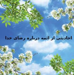 حدیث هایی از ائمه درباره رضای خدا :
احادیثی از ائمه درباره رضای خدا :
نتیجه نهایی :