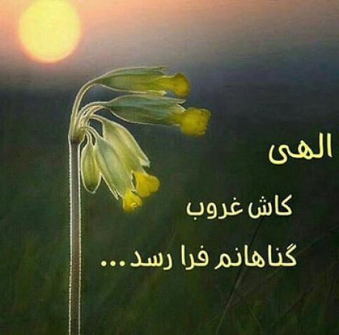
			
		ببخش که فراموش کردیم برای چه پا به زمین گذاشته‌ایم
		