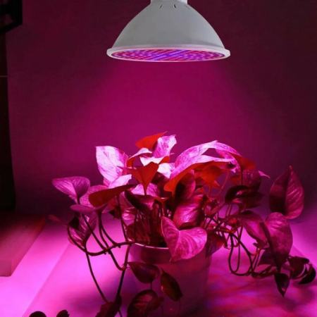 بهترین انتخاب لامپ رشد گیاه