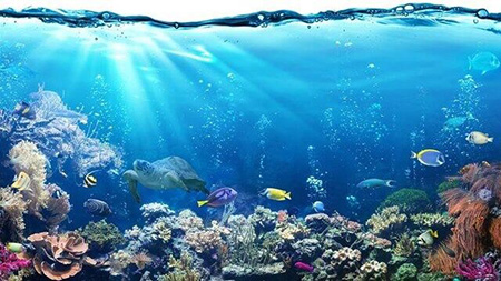 دریا بزرگتر است یا اقیانوس, تفاوت دریا و اقیانوس, تحقیق درباره ی دریا و اقیانوس ها