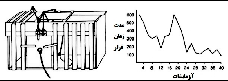 قانون اثر پیشرفت خود را مدیون ثورندایک می باشد قانون اثر, رابطه قانون اثر و نظریه تکامل, کتاب قانون اثر کیست