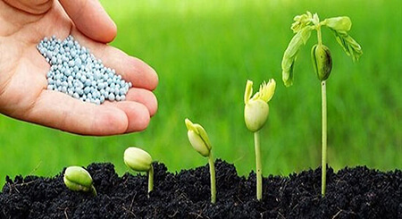 مسمومیت های ناشی از آمونیوم نیترات،کاربرد نیترات آمونیوم در کشاورزی آمونیوم نیترات چیست,کاربردهای آمونیوم نیترات