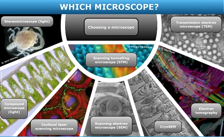 انواع میکروسکوپ نیروی اتمی, انواع میکروسکوپ دیجیتال, انواع میکروسکوپ الکترونی