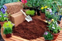 
			
		مزایا و معایب استفاده از خاک کوکو پیت
		کوکوپیت چیست و مزایای عالی استفاده از کوکوپیت + معایب 