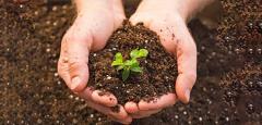 
			
		چند نوع خاک گلدان وجود دارد و بهترین خاک کدام است؟
		با انواع خاک و ترکیبات آن ها آشنا شوید