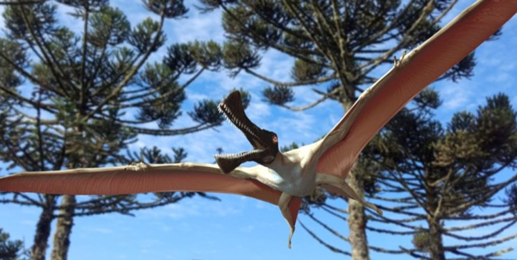 
			
		کشف فسیل خزنده پرنده ماقبل تاریخ در استرالیا
		