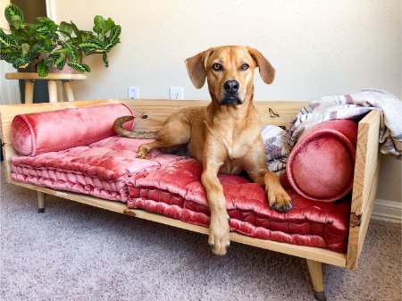 ساخت جای خواب چوبی برای سگ