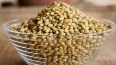 اهمیت انتخاب و خرید بذر باکیفیت و مرغوبآشنایی با معروف‌ترین برندهای بذر موجود در بازار ایران