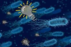 
			
		باکتری‌هایی که از متان برق تولید می‌کنند
		