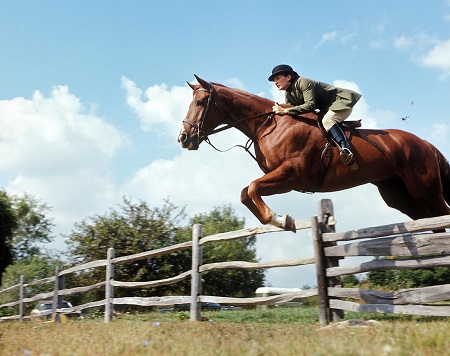 اسب سواری, عوارض سوارکاری برای بانوان, سوارکاری و آسیب به پرده بکارت