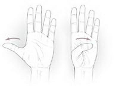 مچ دست,علت درد مچ دست,حرکات ورزشی مچ دست مچ دست,علت درد مچ دست,حرکات ورزشی مچ دست