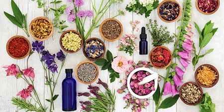مکمل های گیاهی افزایش حجم سینه افزایش حجم سینه ها, افزایش حجم سینه در بدنسازی, برنامه بدنسازی افزایش حجم سینه