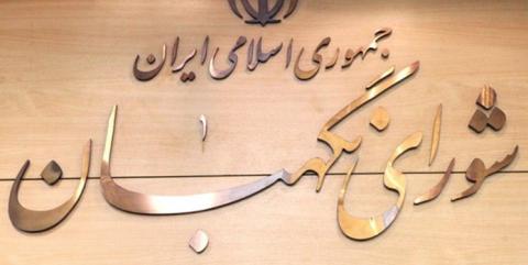 
			
		شورای نگهبان لایحه تابعیت فرزندان زنان ایرانی را استمهال کرد
		