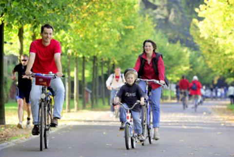 
			
		ورزشهای مفید برای بهبود جریان خون
		