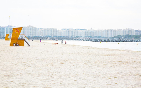 ساحل الصفوح در دبی, عکس های ساحل الصفوح در دبی, امکانات ساحل الصفوح 
