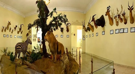 موزه های تهران برای کودکان, معرفی موزه به کودکان, موزه حیوانات برای کودکان