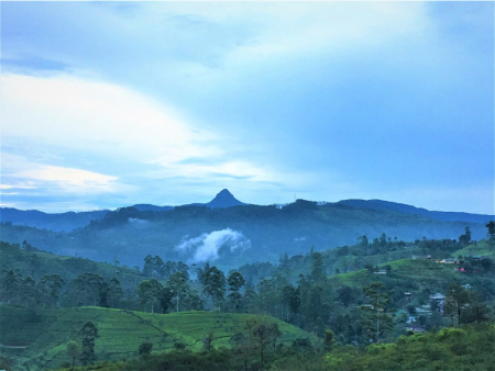 سفر به سریلانکا برای قله آدم