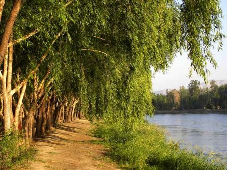 محلهٔ ناژوان اصفهان محلهٔ ناژوان اصفهان