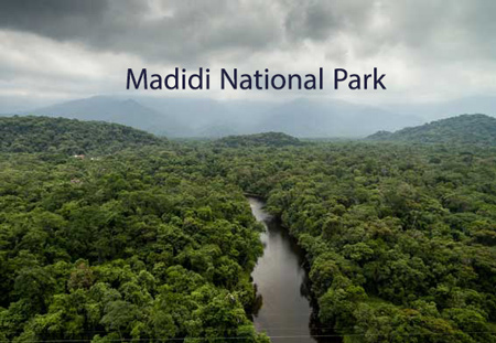 
			
		پارک ملی مادیدی، پارکی که میتواند انسان را فلج کند!
		پارک ملی مادیدی در کشور بولیوی
