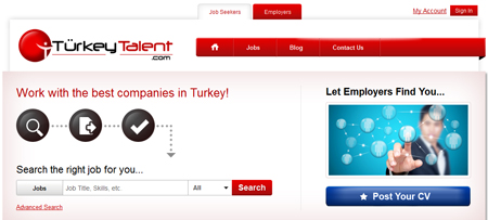 قانون و مهارت کسب و کار در ترکیه, راهنمای کار در ترکیه, کار در ترکیه