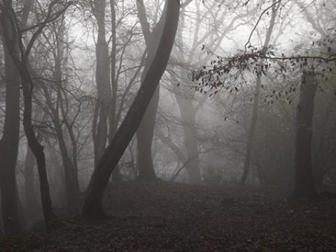 
			
		جنگل جیغ از مکانهای ترسناک انگلستان (+تصاویر)
		