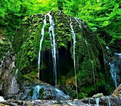 
			
		جنگل پاسند؛منطقه ای بکر و دست نخورده با آبشارهای زیبا
		جنگل‌ های بکر پاسند مقصد گردشگران داخلی و خارجی