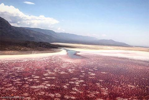 
			
		دریاچه ناترون، دریاچه ای اسرارآمیز در آفریقا 
		